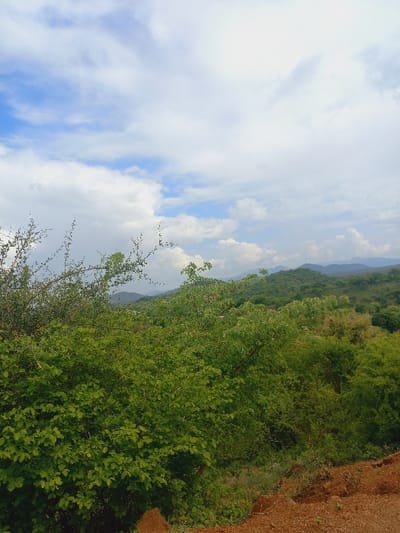 This image depicts a natural landscape within Igambang'ombe ward, Kenya. The scene is dominated by a clear separation between the sky and vegetated terrain. The upper half of the frame presents a sky characterized by scattered white cumulus clouds against a light blue background. The middle and lower portions are densely covered in green foliage, consisting of various trees and shrubs, which form a rolling, undulating landscape extending into the distance. In the immediate foreground, reddish-brown earth is visible, indicating exposed soil. Distant hills or mountains, also covered in vegetation, are discernable on the horizon under a hazy sky. No individuals, animals, man-made structures, or activities are present within the frame.