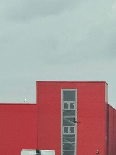 The image shows the side of a red building with a long, horizontal window. A bird is in flight, positioned in the middle of the window. The bird appears to be brown and white, with its wings spread. The building has a modern architectural style, with sharp angles and a flat roof. There is a small, rectangular object mounted on the wall above the window, possibly an exterior light or camera. To the right of the building, a portion of a white sign with some metallic elements is visible. The background is a hazy, light blue sky, suggesting an overcast or cloudy day. The image seems to be taken from a distance, as the details are somewhat softened. The overall scene is simple and focuses on the interaction between the bird and the building.