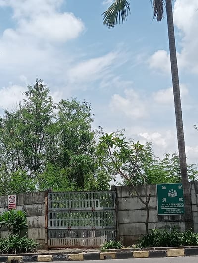 This image depicts an outdoor scene in Sukomoro, Indonesia, characterized by a boundary wall, vegetation, and a clear sky.
The upper portion of the frame is dominated by a light blue sky with scattered white cumulus clouds. A tall, slender palm tree trunk is visible on the far right, with a single frond extending into the top right corner. Another palm frond is partially visible at the top left.
The mid-ground features a weathered concrete block wall, constructed from large, rectangular grey blocks, extending horizontally across the frame. Embedded within the wall is a large, closed metal gate with a slatted design, appearing to be composed of horizontal bars and vertical slats. The gate shows signs of rust, particularly on its frame.
Behind the wall, dense green foliage from various trees is visible, extending upwards towards the sky. Some smaller green plants and shrubs are situated along the base of the wall.
Two signs are affixed to the wall:
1. On the left, a rectangular sign with a red circle and diagonal line over a cigarette icon, indicating "DILARANG MEROKOK" (No Smoking).
2. On the right, a square green sign with white icons depicting multiple stylized human figures and downward-pointing arrows, identifying an "EMERGENCY MEETING POINT" ("TITIK BERKUMPUL KEADAAN DARURAT").
The foreground shows a curb line, painted with alternating black, grey, and yellow stripes, separating the ground in front of the wall from a roadway that is not fully visible. No people are present in the scene.