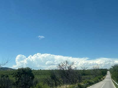 This is a landscape photograph taken on a clear, sunny day. The dominant subject is a vast, bright blue sky with a few scattered white clouds. In the mid-ground, a lush green field stretches across the horizon, dotted with trees. A winding asphalt road, marked with white lines, leads into the distance on the right side of the frame. The road is bordered by a metal guardrail on the right. The foreground features a dense collection of dry, bare branches of trees and shrubs, contrasting with the vibrant green of the mid-ground. The overall impression is one of a rural or semi-rural setting, possibly in a Mediterranean or similar climate, with a sense of open space and natural beauty. The time of day appears to be midday, given the brightness of the sunlight and the clarity of the sky. There is no text visible in the image.
