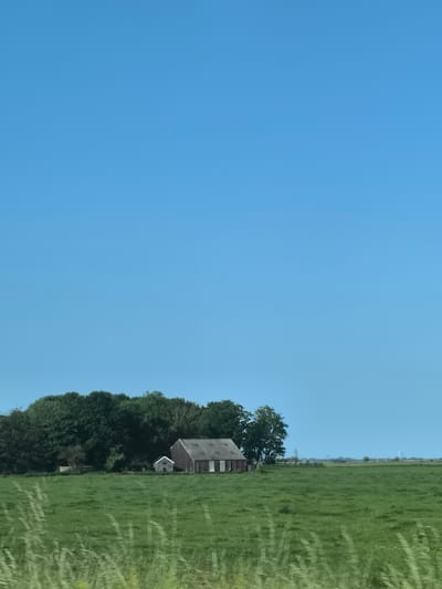 The image depicts a rural landscape in Uitgeest, Netherlands, featuring a green field and a line of trees. An old, wooden barn with a grey roof is situated in the field, accompanied by a smaller outbuilding. The sky is clear and blue. In the distance, some structures or windmills are barely visible. Tall grass grows in the foreground, slightly obstructing the view.