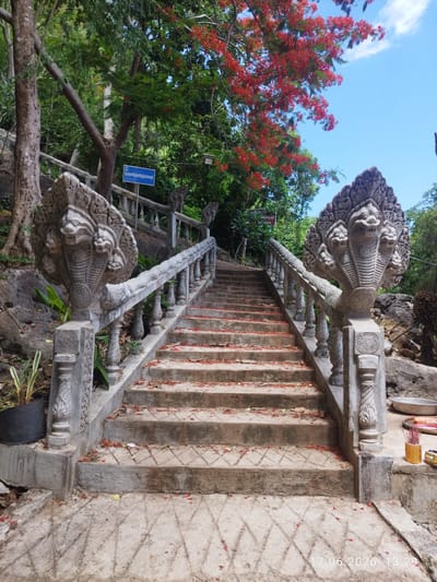 The image depicts a wide, concrete staircase with ornate balustrades leading upwards. The balustrades are topped with sculpted multi-headed serpent figures. Red flower petals are scattered across the steps and the surrounding concrete. Lush green foliage and trees, one with vibrant red flowers, form the backdrop, suggesting a natural, possibly tropical environment. The sky is a clear blue with a few white clouds. In the background, a blue sign is visible on a post. The bottom right corner of the image shows a timestamp: "17.06.2026 13:29". The scene appears to be an outdoor location, possibly a temple or a sacred site, given the elaborate stonework and the presence of flower petals. There are no people visible in the image.