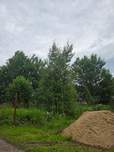 The image depicts an outdoor scene with a large pile of sand on the right side. Lush green grass and trees dominate the left and center portions of the frame, with a building partially visible behind the trees. The sky above is overcast with light gray clouds. A brown wooden post stands vertically in the grass in the foreground. The overall impression is that of a rural or semi-rural setting, possibly a construction site or a garden area. The weather appears to be cloudy, and the time of day is not definitively indicated but suggests daytime. There is no visible text in the image. The scene conveys a sense of natural landscape with an element of human activity implied by the pile of sand and the building.