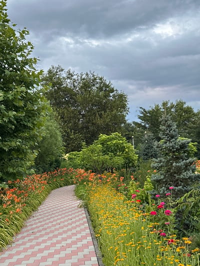 The image depicts a garden path in Yaroslavskaya, Russia, on an overcast day. The path is paved with interlocking rectangular stones in a red and white checkerboard pattern, curving gently to the left. On either side of the path, lush flowerbeds overflow with blooms. To the left, rows of orange daylilies stand tall, interspersed with green foliage. To the right, a vibrant tapestry of yellow flowers, likely coneflowers or black-eyed Susans, dominates the foreground, with clusters of pink and red zinnias interspersed further back. Beyond the flowerbeds, various trees create a dense green backdrop, including a large, leafy tree on the far left, a cluster of blue spruce trees in the middle, and other deciduous trees. The sky above is filled with heavy, gray clouds, suggesting impending rain. No people or animals are visible in the scene.