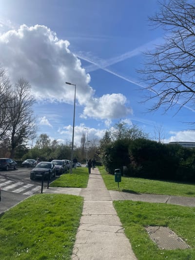 The image depicts a sunlit outdoor scene in Montigny-le-Bretonneux, France, featuring a concrete sidewalk, an adjacent road with parked vehicles, and green spaces under a partially cloudy blue sky.
The sky is bright blue with scattered white cumulus clouds. Two distinct white airplane contrails intersect high in the sky, forming an 'X' pattern. Sunlight is evident, casting shadows and illuminating the scene.
On the left side of the image, multiple bare-branched deciduous trees are visible, indicative of late winter or early spring. To the right of the sidewalk, a dense, dark green hedge runs parallel to the path. Green grass with small white flowers (possibly daisies) covers the ground on both sides of the concrete sidewalk. A metal gridded cover is present in the grass on the right.
The concrete sidewalk, exhibiting some cracks, extends from the foreground into the mid-ground, gently curving towards the right. To the left of the sidewalk, a dark asphalt road or parking area is visible, with a painted pedestrian crosswalk in the immediate foreground. Numerous cars are parked along this area; a dark Audi sedan (French registration GH-598-QA) is prominently featured in the mid-ground.
Two tall, slender grey streetlights with single luminaires are present, one prominent in the mid-ground and another further in the background. A green public waste bin is positioned on the grass next to the hedge on the right. In the far background, a light-colored building with multiple windows is partially visible above the tree line on the right.
Several individuals, estimated to be between 5 and 7, are present. Most are walking on the sidewalk in the mid-ground, moving away from the viewer, appearing as dark figures. At least two individuals are clearly walking together, followed by others. One person is standing near the parked cars on the left side of the road. The overall scene suggests a typical daytime public environment with pedestrian and vehicular activity.