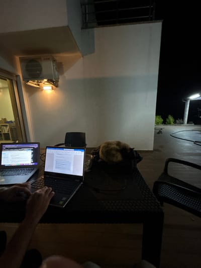 A person sits at a dark-colored woven table with two open laptops. The laptop screens show documents. A cat rests on the table near the laptops. Behind the person is a white exterior wall with an air conditioning unit and a light fixture. Beyond the wall is a view of trees at night. The location is possibly in Celorico de Basto, Portugal.