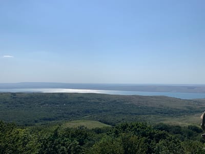 A wide, horizontal, panoramic view captures a vast natural landscape under a clear, pale blue sky. The foreground is dominated by the dense, dark green foliage of trees, forming a textured, slightly blurred border along the bottom of the image. Beyond this, the terrain unfolds into rolling hills covered in a mix of green vegetation and sparser, lighter-colored grasses. A cluster of small buildings, indicative of a settlement, is visible nestled within the green expanse. In the mid-ground, a large body of water, likely a lake or reservoir, stretches horizontally across the frame, its surface reflecting the bright sunlight with a shimmering effect. The distant background features hazy, undulating landforms and a faint horizon line. The overall scene conveys a sense of expansive, rural tranquility, suggesting a location like Levoegorlykskii, Russia, known for its natural beauty.