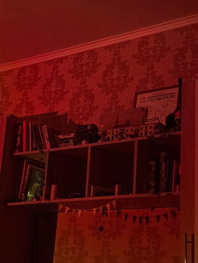 The image depicts a dimly lit interior, bathed in a strong red light, which obscures fine details and casts deep shadows. A bookshelf unit is prominently featured, filled with various objects. On the upper shelf, several books are visible, along with what appears to be a vintage camera and some electronic components. A framed map or poster with the text "ST. PETERSBURG" is also present. The lower shelves contain more books, one of which has a green cover with the text "METAL FAMILY" visible. A string of triangular flags hangs across the lower part of the bookshelf. The wallpaper behind the bookshelf has a repeating damask pattern. The scene is consistent with an indoor residential setting. The location is identified as Radkevshchina, Russia, though no specific geographical markers in the image confirm this.