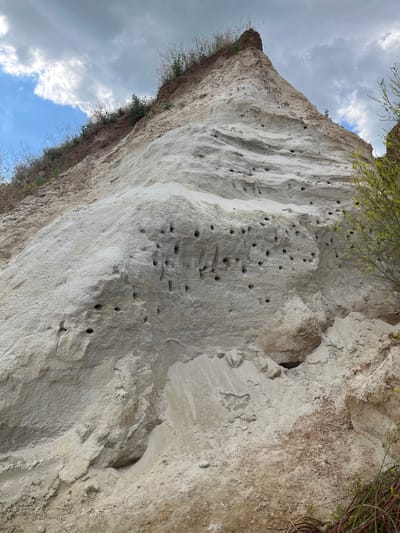 The image depicts a sandy cliff face in the vicinity of Samarskoye, Russia, characterized by numerous small, circular holes burrowed into the light-colored sand. These holes appear to be nests for swallows or martins, a common sight in such geological formations. The cliff is partially overgrown with sparse vegetation, including dry grasses and some leafy plants with small yellow flowers. The sky above is partly cloudy, with patches of blue sky visible through grey clouds. The overall environment suggests a natural, possibly somewhat eroded, landscape. There are no people or animals clearly visible in the frame, though the holes imply the presence of birds.