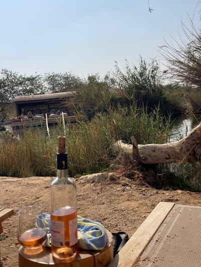 The image depicts an outdoor scene in the Arava Tichona Regional Council, Israel, under a clear, bright sky. In the immediate foreground, a nearly empty bottle of rosé wine, corked and featuring a black foil with a gold seahorse emblem, stands on a circular wooden block. Adjacent to it is a stemmed glass containing a small amount of rosé wine. A light blue and yellow striped cloth is partially visible beneath the bottle. The ground surface is dry, light brown soil, with a section of a woven mat on a wooden plank visible on the lower right.
The midground features a narrow body of water, likely a pond or canal, bordered by dense growths of tall green and dry reeds. A large, weathered tree trunk lies partially submerged or on the bank on the right side of the water.
In the background, on the opposite side of the water, a wooden structure with a curved, light-colored roof serves as a shaded lounging area. Inside this structure, approximately five to seven individuals are visible, reclining on light-colored cushions or bean bags. Sparse vegetation and trees are visible beyond the structure, beneath the pale blue sky.