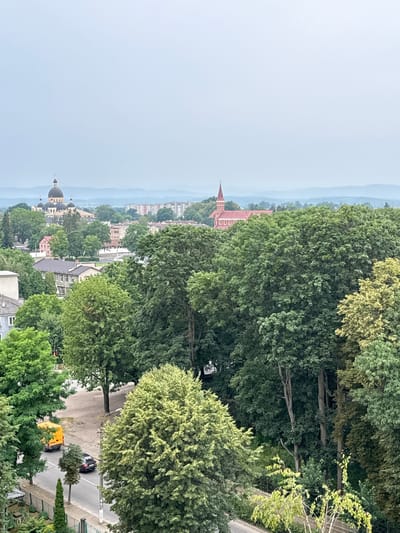 This is a vertical, medium-angle shot of a cityscape partially obscured by lush green trees. The scene is dominated by the dense foliage of mature trees in the foreground and mid-ground, with their leaves creating a textured canopy. Through gaps in the trees, a town is visible, featuring a cluster of buildings with red-tiled roofs and at least two domed structures, possibly churches or cathedrals. In the distance, hazy blue hills or mountains form the backdrop.
The sky is overcast and a pale grey, suggesting a cloudy day or early morning/late afternoon light. The overall atmosphere is serene and somewhat muted due to the weather. The activity depicted is a quiet view of urban life nestled amongst nature. Two vehicles are visible on a paved road winding through the town: a dark-colored car and a yellow van. One notable detail is a single street light visible near the yellow van. There is no visible text in the image. The location is identified as Kolomyia, Ukraine.