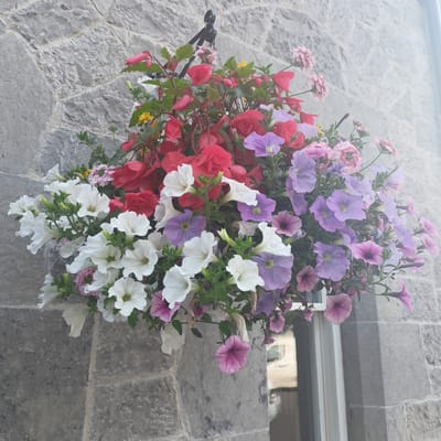 A hanging basket of flowers is displayed against a stone wall. The basket contains a mix of white, pink, purple, and red flowers, including petunias and begonias. The stone wall appears to be made of large, roughly cut grey stones. A sliver of a white window frame is visible on the right side of the image. The scene is likely located in a public space, possibly a village or town square, within the Municipal District of Adare — Rathkeale, Ireland, given the architectural style and the typical placement of such floral displays in European towns.