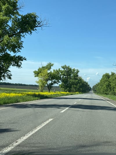 A paved road stretches into the distance, framed by lush green trees and a vibrant yellow field, under a clear blue sky. The image depicts a rural or semi-rural landscape in Balakliya, Ukraine.
The asphalt road features white dashed lines, indicating a lane divider or shoulder marking, and long, dark shadows from trees are cast across its surface. On the right side of the road, a field of bright yellow flowering plants, possibly rapeseed or canola, extends towards the horizon. Beyond this field and along the roadside, several green deciduous trees are visible. On the left side of the road, a dense line of trees with vibrant green foliage lines the path, some displaying bare, skeletal branches at their crowns against the sky.
The weather is sunny and bright, with a few wispy white clouds scattered across the otherwise clear blue sky. The distinct shadows suggest it is late morning or early afternoon. The scene evokes a sense of peaceful travel through an agricultural region. No visible text is present in the image.
