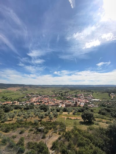 This panoramic image presents a serene rural landscape in Fontanarejo, Spain, captured from an elevated viewpoint. The scene is dominated by a vast, vibrant blue sky streaked with wispy white cirrus clouds, indicative of a clear and pleasant day. A bright sun glare in the upper right corner suggests it is midday or early afternoon.
In the midground, a charming, compact village is nestled within a verdant valley or plain. Its buildings are characterized by numerous terracotta-tiled roofs, densely packed together amidst the surrounding fields and natural vegetation. Several larger structures, possibly churches or public buildings, are discernible within the clustered architecture. The village is enveloped by expansive green and brown fields, with prominent olive groves featuring rows of olive trees on the gentle slopes leading down to the settlement.
The immediate foreground consists of a rugged, unkempt hillside covered in a mix of wild green and golden-brown grasses, low-lying shrubs, and scattered small trees. A rudimentary dirt path is visible in the lower right, partially bordered by a simple wooden fence or barrier, hinting at a trail or boundary. Beyond the village, the landscape extends into a series of rolling hills and distant mountains that gradually fade into a soft haze on the horizon.
The overall atmosphere conveys a sense of tranquility and natural beauty. No people or specific activities are visible within the frame, emphasizing the quiet solitude of the rural setting. The bright sunlight and minimal cloud cover suggest excellent weather conditions. There is no visible text in the image.
