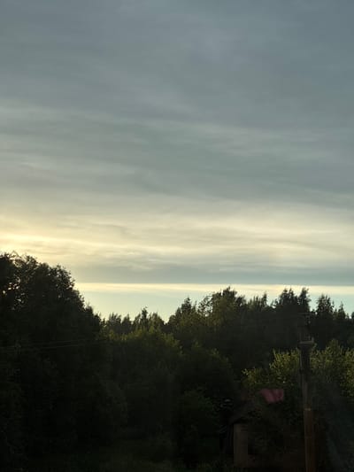 This is a landscape photograph taken in Koshkino, Russia, at dusk or dawn. The image is dominated by a vast, cloudy sky that transitions from a muted gray at the top to a pale yellow and then light blue near the horizon. A dense line of dark green trees forms the lower third of the frame, with their tops silhouetted against the sky. The foliage appears thick and lush. In the foreground, a power line runs horizontally across the image, and a rough-hewn wooden utility pole stands vertically on the right side, adorned with what appear to be insulators. A small, dark-colored structure, possibly a shed or a small house, is partially visible amongst the trees on the left side of the pole. The overall impression is one of a rural or semi-rural setting at the edge of a forest.