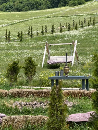 A serene, pastoral scene unfolds in Dsegh, Armenia, depicting a garden area with a lush green meadow dotted with white wildflowers stretching into the background. In the mid-ground, a wooden swing set with a faded pink cushion is positioned centrally, accompanied by a dark green picnic table. On the table, a brass samovar stands prominently, flanked by two silver buckets and a small yellow object. Rows of hay bales define the foreground, with a rustic arrangement of stones nestled between them. Several sculpted evergreen trees are strategically placed throughout the scene, adding structure to the natural landscape. A white fence runs along a gently sloping hill in the distance, further accentuating the idyllic setting. The overall impression is one of peaceful outdoor recreation and rural charm.