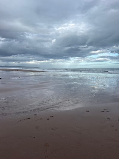 The image depicts a wide-angle view of Montrose Beach, Montrose, United Kingdom, under an overcast sky. The upper two-thirds of the frame are filled with heavy, dark grey clouds, with lighter grey and faint blue patches visible towards the horizon on the right. Sunlight penetrates the clouds in the distance over the North Sea, creating bright reflections on the water's surface.

The North Sea occupies the mid-ground, presenting a dark, reflective appearance with numerous waves breaking towards the shore. The foreground consists of a wide expanse of damp, reddish-brown sand, reflecting the overhead sky. Multiple distinct paw prints, consistent with a canine, are impressed into the wet sand, particularly in the lower right quadrant and extending towards the mid-left. A small dark rock is partially visible in the wet sand on the left side.

In the far distance on the left, a low-lying, dark landmass or coastline is discernible beneath the clouds. A small group of dark specks, identified as birds, rests on a slightly elevated area of sand further along the beach towards this distant landmass. No human figures are present within the scene.