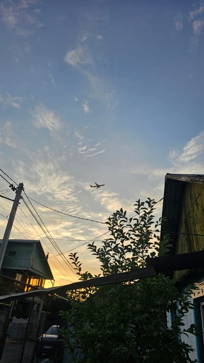 The image captures a low-angle view of a sky with a lone airplane in flight. The sky is a gradient of blue, transitioning into a warm, yellow-orange hue near the horizon, suggesting it is either sunrise or sunset. Wispy clouds are scattered across the sky, adding texture to the scene.
In the foreground and along the edges of the frame, there are glimpses of structures and vegetation. To the right, there is dense green foliage from a tree, with its leaves silhouetted against the brighter sky. A dark, possibly metal beam or post runs vertically through the center-right of the image, partially obscuring the view of the airplane.
Below the airplane and towards the bottom of the image, several electrical wires and a utility pole are visible, indicating an urban or semi-urban setting. In the lower right corner, parts of buildings with green roofs and fencing can be seen. The overall lighting suggests a warm, possibly calm atmosphere. The location context provided is Панфилово, Kazakhstan. No discernible text is visible in the image.