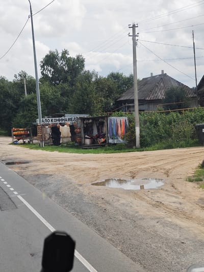 The image depicts a roadside stall in Novye Vyselki, Russia, under a cloudy sky. The stall is selling various items, including what appear to be jars of preserves or honey, rugs, animal hides, baskets, and colorful textiles. Behind the stall, there is a wooden house with a corrugated roof and dense green trees and bushes. A concrete utility pole with power lines stands next to the stall. The ground in front of the stall is a dirt path with tire tracks and several puddles, suggesting recent rain. A paved road with a white line runs along the left side of the image. No people are visible in the frame.