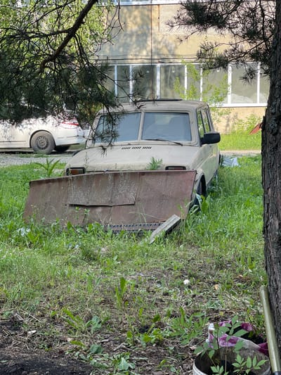 An abandoned beige Lada Niva with a homemade snow plow attachment is parked on a grassy area in front of a building in Alferyevka, Russia. The car is covered in dust and grime, and the snow plow is rusted and appears to be made from sheet metal. The building behind the car is a multi-story structure with several windows. The area is overgrown with grass and weeds. A white car is parked to the left of the Lada. A large pine tree is on the right side of the image, obscuring part of the scene. The ground is covered in dirt, pinecones, and other organic debris. A bucket with a plant is visible in the lower right corner. There are no people present in the image.