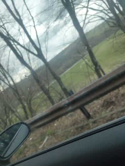 The image appears to be taken from inside a vehicle, looking out of a window. The window frame and a portion of the side mirror are visible. The view through the window includes bare tree branches against a cloudy sky, suggesting winter or early spring. A road or path is also visible with greenery on one side and brown ground on the other. Without additional context or information, it's impossible to confirm the location as Bojevtsi, Bulgaria or provide further specific details.