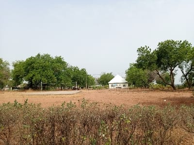 The image shows a dirt field with a white single-story building in the background. The field is bordered by a row of bushes and trees, including a large tree in the foreground. The ground is dry and brown, with some scattered green plants. The building is small, with a white roof and a white wall, and windows that are mostly obscured. The field appears to have recently been cleared of vegetation. The image was likely taken from a low vantage point. It is impossible to know the exact location based on the image. The provided coordinates are not visible in the image.