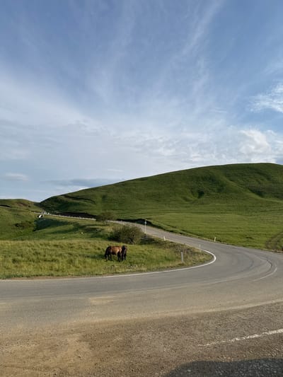 In the city of Lavriskhevi, Georgia, a paved road curves through a lush green landscape under a partly cloudy blue sky. Two horses, one brown and one dark brown, graze on the grassy verge to the left of the road. The road is bordered by white markers, and a guardrail is visible in the distance on the left side of the road, where it winds up a gentle slope. The terrain is characterized by rolling hills covered in verdant grass, with a few scattered trees. The foreground is dominated by the dusty shoulder of the road.