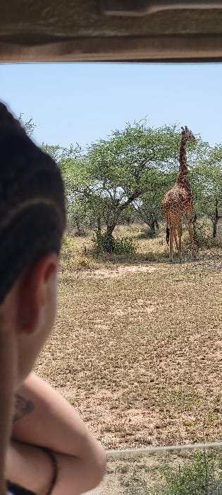 The image displays an outdoor savanna scene in Seronera, Tanzania, viewed from inside a vehicle during daylight. In the left foreground, the back of a person's head and right shoulder are visible, looking towards the right. The individual has dark, short hair with a shaved side or undercut, and a dark tattoo is visible on their right upper arm. The top edge of a vehicle's interior roof is present at the top of the frame. In the midground, a single giraffe stands facing away from the viewer, positioned between scattered green-leafed acacia trees. Its distinct spotted hide (brown patches on a lighter background) is visible. The ground consists of dry, sparse, light brown grass and dirt. The background features additional trees and a clear light blue sky.