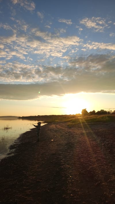 The image depicts a sunset scene along a tranquil shoreline in Шолья, Russia. The sky occupies the upper portion, featuring a blue expanse dotted with scattered altocumulus clouds, illuminated from below by the setting sun to appear white and orange-tinged. A brilliant, low-lying sun is positioned on the right side of the horizon, casting intense golden light across the scene, creating strong backlighting. A distinct green circular lens flare is visible in the upper-left quadrant, and sun rays emanate from the primary light source.
In the midground, a single individual, appearing to be a child, stands on the sandy-muddy shoreline, heavily silhouetted against the bright background. The child wears camouflage-patterned clothing and holds a long, thin stick, with arms slightly raised as if gesturing or interacting with the water. The shoreline exhibits subtle ripples and impressions on its surface, consistent with sand or mud.
To the left, a calm body of water, likely a lake or wide river, reflects the golden light of the sky and sun. Sparse aquatic vegetation, resembling reeds or grasses, emerges from the water along the immediate bank. In the distance across the water, a dark, undulating landmass or treeline is visible. On the right side of the frame, beyond the child and shoreline, an area of sunlit tall grasses transitions into a dense treeline, which is largely silhouetted by the direct sunlight. The scene captures the serene atmosphere of dusk with a prominent natural light source.