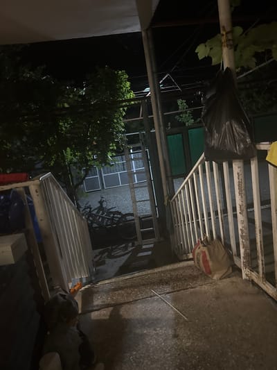 In Aragvispiri, Georgia, at night, the scene depicts a dimly lit outdoor area. A white metal railing runs along the right side of the image, leading towards a concrete path. To the left, another white metal railing frames a lower area where a person in dark clothing is seated. Behind the railing on the left, a bicycle is visible, leaning against a wall with windows. Further back, dense green foliage from trees overhangs the area. A large black plastic bag is tied to a pole on the right side of the frame, and a brown paper bag with red stripes rests on the ground near the railing. A thin white stick lies on the concrete path in the foreground.