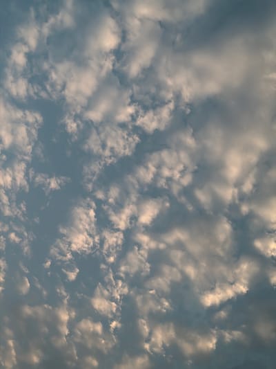 The image displays a vast sky filled with numerous clouds, occupying the entire frame. The scene is an overhead view, focusing exclusively on the atmospheric conditions. The clouds are varied in shape and density, creating a textured pattern across the sky. Many clouds exhibit shades of white, grey, and soft golden-brown, suggesting they are illuminated by a light source positioned low in the sky.
Bright, warm light, possibly from the rising or setting sun, highlights the edges and upper surfaces of several cloud formations, casting a gentle glow. This contrasts with deeper grey and blue-grey areas, which appear shadowed or less directly lit. This interplay of light and shadow gives the clouds a sense of depth and dimension. The visible patches of sky between the cloud masses are a muted blue-grey. The overall weather appears cloudy but with breaks, creating a dappled effect.
There are no people, man-made objects, structures, or discernable ground features visible in the image. No activity or event, other than the natural presence of clouds, is taking place. The time of day is likely either early morning or late afternoon, given the warm, directional light filtering through the clouds. No text is visible in the image. While the location context is Hải Phòng, Vietnam, there are no specific visual cues within the image to confirm this geographical detail.