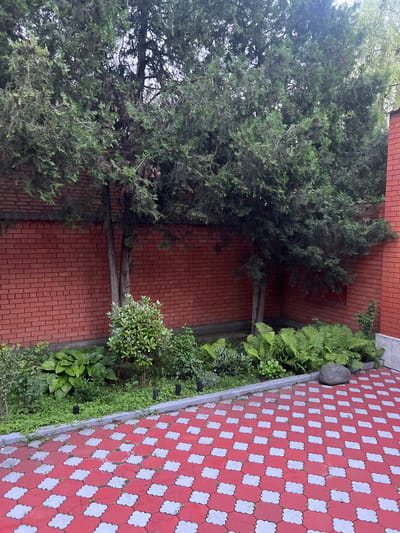 This image shows a vertical view of a brick wall and a paved pathway. Two evergreen trees are growing next to the wall, their branches reaching upwards and outwards. In front of the wall, there is a garden bed with various plants, including ferns and leafy bushes. The pathway is made of red and white interlocking paving stones, laid in a decorative pattern. A large, grey, round rock sits on the edge of the garden, near the pathway. The scene appears to be outdoors, possibly a courtyard or garden area. The lighting suggests it is daytime, with overcast or diffused light, possibly indicating a cloudy day. There is no visible text in the image. The setting is residential, and the overall impression is one of a well-maintained outdoor space.
