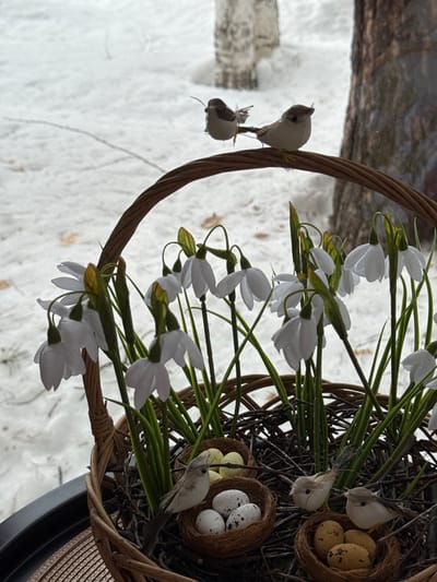 The image displays an indoor decorative arrangement in Mishkino, Russia, set against a snow-covered outdoor environment visible through a window. In the foreground, a prominent brown wicker basket with an arched handle contains a collection of artificial elements. Numerous artificial white snowdrop flowers with green stems and developing yellow-green buds are arranged vertically within the basket. Interspersed among the flowers are three small, artificial bird nests constructed from twigs. One nest holds three white, speckled eggs; a second contains three plain light-yellow eggs; and a third encloses three mottled yellow-brown eggs. Six small, light brown and beige artificial birds are positioned within the scene. Two birds perch on the top arc of the wicker handle, facing right, with one appearing to hold a small, thin filament. Four additional birds are situated inside the basket: one near the white-speckled eggs, and two near the mottled yellow-brown eggs. A dark, flat surface and a woven mat are partially visible beneath the basket. The background, viewed through a transparent pane, shows a landscape uniformly covered in white snow. A dark tree trunk is visible on the right, with a lighter, indistinct tree or bare branches further back on the left.