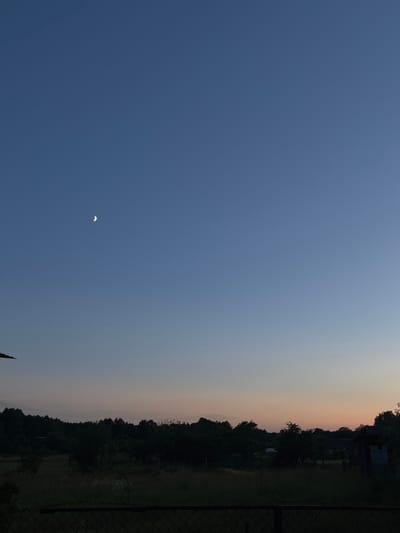 The image captures a twilight scene over a rural area in Ганчарскі сельскі Савет, Belarus. The sky is a deep, clear blue transitioning to a soft gradient of lighter blue and pale orange near the horizon, indicating the sun has recently set. A thin crescent moon is visible in the upper left quadrant of the sky. Below the sky, a dense line of dark green trees forms a silhouette against the lighter sky. In the foreground, there is a field of tall, dry grass and some vegetation, with a dark chain-link fence running along the bottom of the frame. To the right, a small, rustic wooden structure with a visible doorway and a small window is partially obscured by trees. No people or animals are present in the scene. The overall impression is one of a peaceful, natural landscape at dusk.