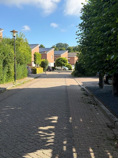 This media file captures a residential street scene in Druten, Netherlands. The perspective is from ground level, looking down a paved street lined with houses and lush green trees. Sunlight casts dappled shadows across the pavement, suggesting it is a sunny day. The sky is a clear blue with a few white clouds.

The houses visible are modern, with brick facades and red-tiled roofs, some equipped with solar panels. Several cars are parked along the street, including a silver hatchback and a dark-colored SUV. The trees and bushes are well-maintained, adding to the tidy appearance of the neighborhood. In the foreground, a lamppost with a distinctive yellow fixture is visible, partially obscured by foliage. The overall atmosphere is peaceful and serene, indicative of a typical suburban environment during daylight hours. No people are explicitly visible in the frame. The scene appears to be a quiet residential street with residential houses, trees, parked cars and a paved road.