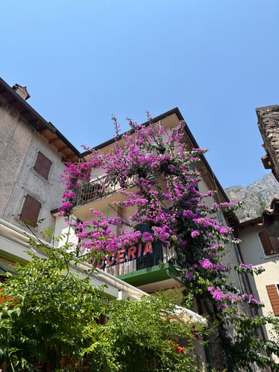 An exterior, low-angle shot shows a building in Limone sul Garda, Italy, with a balcony overgrown with vibrant pink bougainvillea flowers. The building's facade is made of textured stucco in a neutral tone, with dark brown shutters on two windows on the left side. A metal railing encloses the balcony, which has a sign with orange lettering on it, partially obscured by the flowers. Green foliage is visible in the foreground, obscuring the lower portion of the building and a small awning. The sky above is a clear, bright blue. In the background, a steep, rocky mountain range rises against the sky.