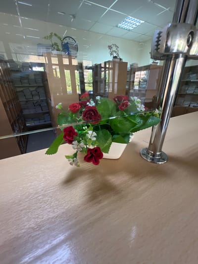 The image depicts an indoor scene, likely a library or office space, with a focus on a small bouquet of artificial red roses and white flowers in a white pot on a light-colored wooden counter. Behind the counter, a reflective surface, possibly glass, offers a distorted view of the environment. Visible through the reflection are shelves filled with books and papers, a circular clock on the wall, fluorescent ceiling lights, and what appears to be an office chair. A chrome-finished fixture with a serrated edge is prominently positioned to the right of the flowers. The overall impression is one of a tidy, well-lit interior. There is no visible indication of the city of Magas, Russia, or any other specific location in the image itself.