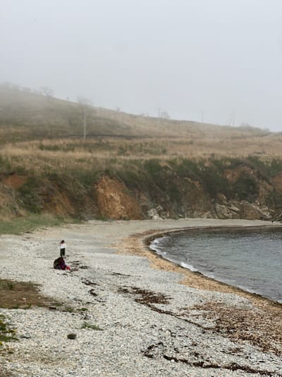 The image depicts a rocky shoreline on a foggy day in Zarubino, Russia. A figure, possibly a person, is standing on the beach. The sea borders the shoreline, and a grassy slope rises to the left. Electrical or communication poles are visible on the slope, obscured by the fog.