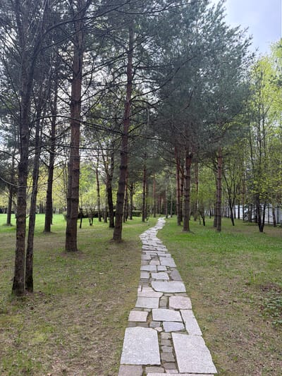 The image shows a stone pathway lined with trees in Levkovo, Russia. The path is made of irregular gray stones and extends into the distance. Trees with slender trunks line both sides of the path, casting shadows on the ground. Grass and some bare patches cover the ground between the path and the trees. The trees appear to be a mix of evergreens and deciduous trees with some new spring foliage. The sky is visible through the tree canopy. There are no people visible in the image. The scene is a park or wooded area within the city. The perspective suggests the photo was taken from a standing position on the path.