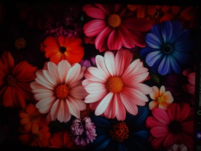 The image is a close-up, overhead shot of a vibrant, densely packed bouquet of daisies in various colors. The flowers are the primary focus, with a dark, indistinct background.
There are at least ten visible daisies, with overlapping petals creating a layered effect. The colors range from bright red and deep pink to soft pink, pale yellow, and a striking deep blue. Some of the flowers have yellow or orange centers, while others have dark centers. Several smaller, more delicate flowers with yellow centers are interspersed among the larger blooms.
The lighting appears to be somewhat dim, which contributes to the deep shadows and rich saturation of the colors. There are no people, animals, or any indications of human activity present in the image.
The image is a still photograph and does not provide any information about its specific location in the city of posyolok opytnogo khozyaystva "Ermolino", Russia, or any context beyond the visual content of the floral arrangement.