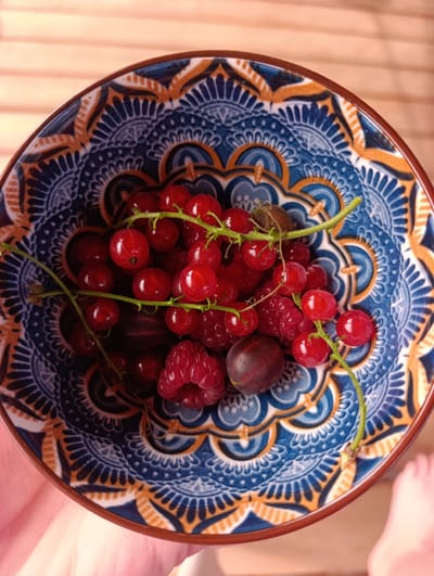 A close-up, top-down shot shows a decorative, blue and orange patterned bowl filled with various berries. The berries include bright red currants on stems, several raspberries, and a few darker, larger berries, possibly gooseberries or dark plums. The bowl is held by a hand, visible in the lower left corner of the frame. The background consists of light-colored wooden planks, suggesting an outdoor or rustic setting. The image does not provide any information about the city of Ivanovka, Russia, or any specific actions or interactions.