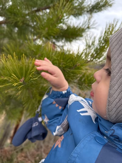 A young child, wearing a grey knit hat and a blue jacket with a white and orange print, is standing next to a pine tree, touching the needles with their right hand. The child is looking down at the tree. A blue mitten hangs from the jacket sleeve. The background is out of focus, with hints of a cloudy sky. There is no information present in the image to indicate this picture was taken in Бабка, Russia.