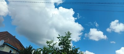 This image depicts a view of the sky with a large, fluffy white cloud dominating the left side. A portion of a house with a brown, sloped roof and blue trim is visible in the lower left corner, along with a white satellite dish mounted on its side. Several green trees and foliage are present in the foreground and midground, with branches extending upwards. Thin black electrical wires run horizontally across the top of the frame. The background is a clear blue sky, with smaller white clouds scattered throughout. The scene is likely an outdoor setting in a residential area.