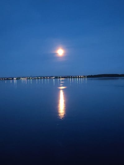 This is a photograph of a body of water at dusk, with a luminous moon in the clear, deep blue sky. The moon's reflection shimmers on the dark water, creating a bright, elongated streak of light. Along the distant horizon, a faint line of lights suggests a town or city, with their reflections also visible on the water's surface. The overall scene conveys a sense of calm and quiet. Based on the provided context, this image depicts a scene in the city of Sheksna, Russia.