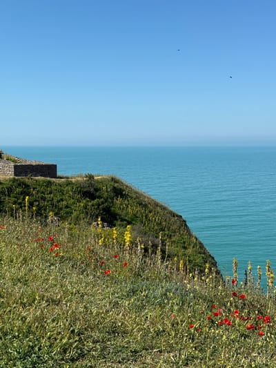 The scene depicts a cliffside view in Balgarevo, Bulgaria, overlooking the sea. Lush green vegetation covers the cliff, interspersed with red poppy-like flowers and yellow wildflowers. A partly obscured stone structure or wall is visible near the base of the cliff. The sea transitions from a light blue near the horizon to a deeper turquoise closer to the shore. The sky is a clear blue, with two dark, small, indistinct shapes that appear to be birds flying overhead.