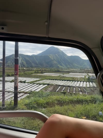The image displays an exterior rural landscape viewed from within a vehicle, situated in Sembalun Lawang, Indonesia. The upper frame of a vehicle window and a light-colored interior ceiling are visible. In the lower right foreground, a bare human limb is present. A silver-toned horizontal bar occupies the lower left.

Outside, a strip of green grass and weeds borders agricultural fields. A red and white striped utility pole, wrapped with white material, stands vertically on the left. The fields are organized into numerous parallel rows; many are covered with white plastic mulch film, while others exhibit exposed dark soil. Small structures are sparsely visible in the midground fields. A large, green, prominent mountain range with a central peak dominates the background under a cloudy sky. The scene is illuminated by daylight.