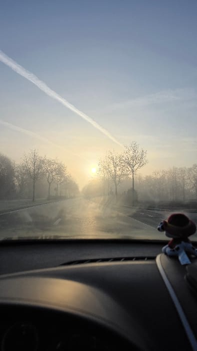 The image captures a forward view from inside a vehicle, looking out through the windshield onto a road in Beringen, Belgium, during dense fog. The setting appears to be an early morning or late afternoon, characterized by a low-lying, bright golden sun positioned slightly left of the central vanishing point of the road, casting visible rays through the heavy mist. A paved road, appearing damp, stretches into the distance, bordered on both sides by numerous leafless deciduous trees, their branches silhouetted against the fog and sunlight. The sky transitions from a light blue overhead to a glowing golden-yellow near the horizon. A single, prominent white airplane contrail crosses diagonally from the upper left to the lower right in the sky. In the immediate foreground, the dark grey dashboard of the vehicle occupies the lower portion of the frame. A small, dark-colored figure, possibly a toy or bobblehead, featuring a red hat and white accents, is visible on the right side of the dashboard. No human subjects are discernible, and no direct actions or interactions are depicted within the outdoor environment.