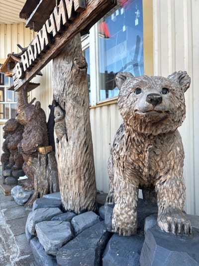 This image captures an outdoor scene in the city of Vyra, Russia, featuring several wooden sculptures of bears and a wooden sign. In the foreground, a detailed carving of a young bear stands on a base of dark gray, sculpted rocks. Behind it, arranged in a line, are more wooden bear sculptures, including what appears to be a mother bear and two cubs, all carved with intricate fur textures and positioned on rough wooden stumps and rocks. To the left, a larger, roughly carved wooden sign with Cyrillic lettering, which reads "В НАЛИЧИИ" (meaning "In Stock"), is suspended above the bear sculptures. The sign is attached to a thick, natural-looking wooden post that is also carved. The background shows a building with cream-colored siding and a window reflecting the sky. The ground is paved with what appears to be grey concrete tiles with a textured surface. The overall impression is one of a rustic, possibly commercial, display of handcrafted wooden art.