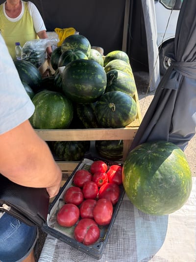 The image shows a stall selling fruits and vegetables, likely at an outdoor market. The primary subjects are numerous watermelons and a crate of tomatoes. The watermelons are stacked in wooden crates, with a large one prominently displayed on top. The tomatoes are red and appear fresh, arranged in a black plastic crate. In the foreground, a person's arm and shoulder are visible, wearing a light blue shirt. They are holding a dark leather bag with a zipper. The background features a gray tarp or awning extending over the stall, with a glimpse of a vehicle and a white surface behind it. The scene suggests a sunny day, indicated by the shadows cast on the white surface. The location is identified as Manastir, Bulgaria. There is no visible text in the image. The overall impression is of a vibrant market scene with fresh produce.
