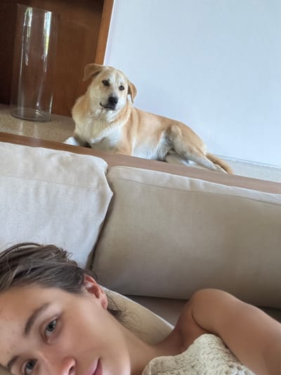 A selfie-style image shows a person and a dog on a beige-colored sofa. The person, with wet, dark hair and light eyes, occupies the lower right portion of the frame. The dog, light brown with a white chest and muzzle, lies near the edge of the sofa on the left side of the frame, looking up at the camera. To the left of the dog is a glass cylinder and some shelving. The location cannot be verified as Mas, Indonesia from this image.